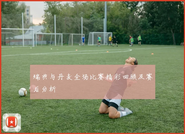 瑞典与丹麦全场比赛精彩回顾及赛后分析