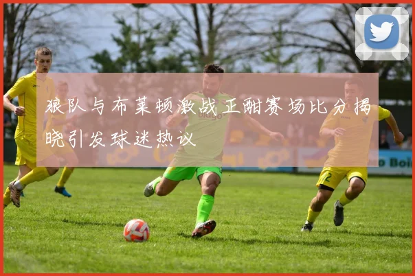 狼队与布莱顿激战正酣赛场比分揭晓引发球迷热议